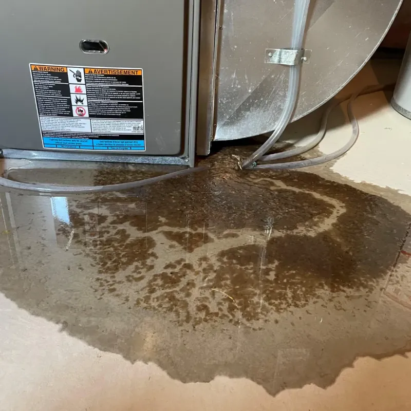 Appliance Leak Cleanup in Lowesville, NC