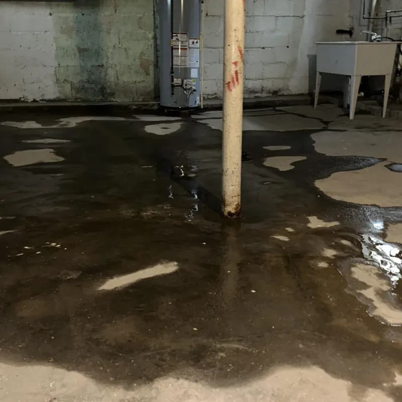 Emergency Water Extraction And Removal in Lowesville, NC